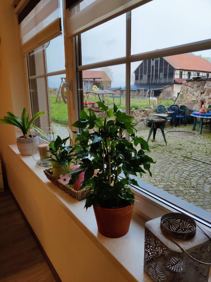 Ferienwohnung Brunow "In Der Natur Zuhause" Neundorf  Экстерьер фото