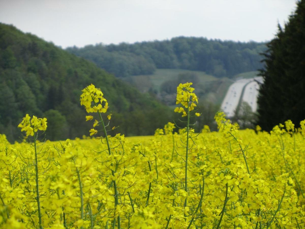 Ferienwohnung Brunow "In Der Natur Zuhause" Neundorf  Экстерьер фото